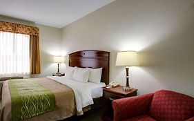 Quality Inn Rockdale